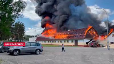 Более 40 лошадей эвакуировали во время пожара в конно-спортивном центре в Ратомке