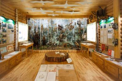 Завтра Старомайнский Музей леса откроет двери для всех желающих