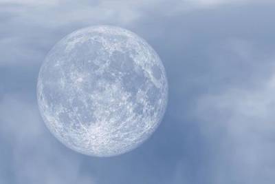 Астроном Сурдин допустил наличие микроорганизмов на Луне