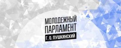 В Пушкинском городском округе определили состав обновленного Молодежного парламента