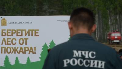 Минприроды: количество лесных пожаров в РФ снизилось на 15% по сравнению с прошлым годом