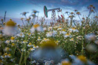 Курс на взлет - что будет с ценами на нефть этим летом?