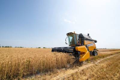В Азербайджане начался сбор урожая зерновых (ФОТО)