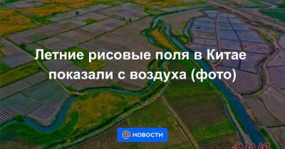 Летние рисовые поля в Китае показали с воздуха (фото) - news.mail.ru - провинция Ганьсу