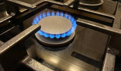Принят закон с поправками ЕР о бесплатном доведении газа до участков