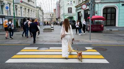 В Госдуму внесли законопроект о содержании и выгуле домашних животных