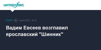 Вадим Евсеев возглавил ярославский "Шинник"