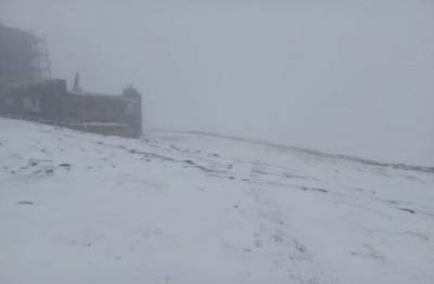 У перший день літа в Карпатах випав сніг: фото природного явища