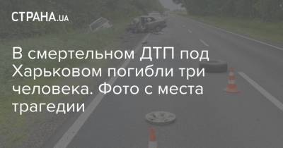 В смертельном ДТП под Харьковом погибли три человека. Фото с места трагедии