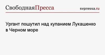 Ургант пошутил над купанием Лукашенко в Черном море