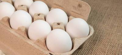 В правительстве России просят повысить цены на яйца