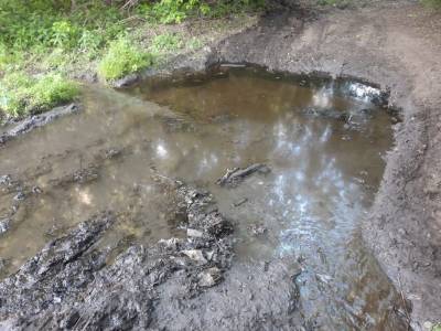 В реку Барыш вылились нефтепродукты, экологи и спецслужбы начали расследование