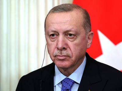 Эрдоган выступил за территориальную целостность Грузии