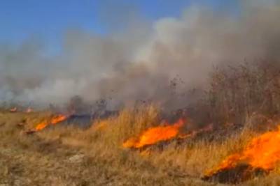 Из-за аномальной жары в Израиле начались пожары