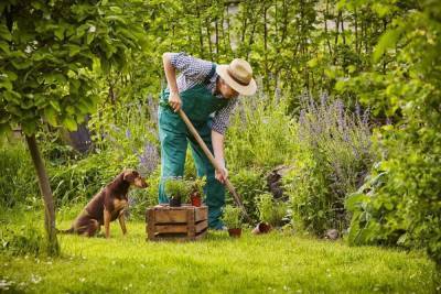 Что делать в июне – 30 самых важных дел в саду, огороде и цветнике