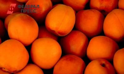 Россиян предупредили об опасности абрикосов