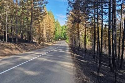 Фото обугленных деревьев по пути на Молоковку выложили в Instagram