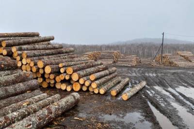 В Хабаровском крае нашли загрязнение на лесопильном заводе