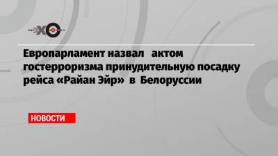 Европарламент назвал актом гостерроризма принудительную посадку рейса «Райан Эйр» в Белоруссии