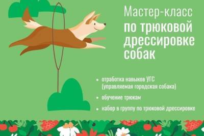 Жителей Серпухова пригласили на мастер-класс по дрессировке собак