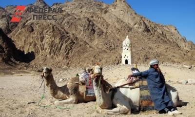Туристка поделилась ценами на отдых в Египте