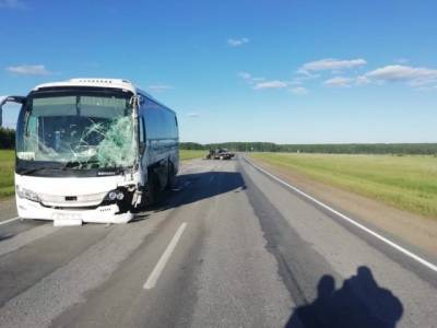 Грузовик смяло после столкновения с автобусом на трассе «Новосибирск — Ленинск-Кузнецкий»