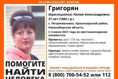 Женщина в голубых галошах пропала под Новосибирском