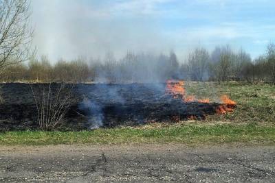 За сутки ульяновские пожарные выезжали на тушение сухой травы 10 раз