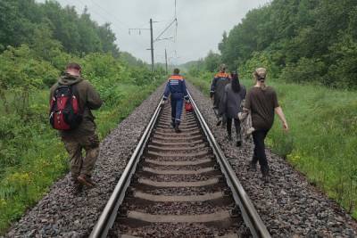 Рязанские волонтеры рассказали о ночных поисках пропавшего грибника