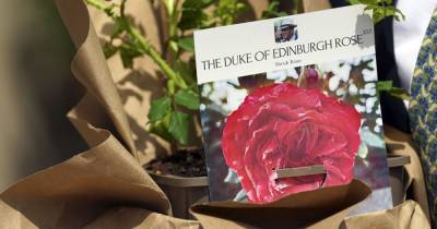 Елизавете II подарили розу, выведенную в честь 100-летия принца Филиппа (фото, видео)