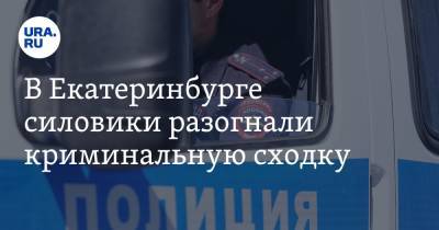 В Екатеринбурге силовики разогнали криминальную сходку. Задержан авторитет