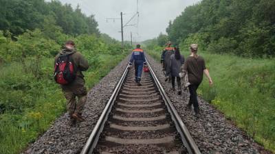 В Рязанской области спасли потерявшегося грибника
