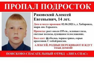 В Хабаровске со 2 июня ищут 14-летнего подростка