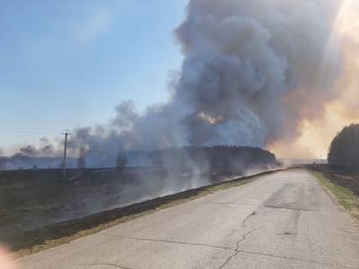 В Курганской области объявлено о чрезвычайной пожарной ситуации