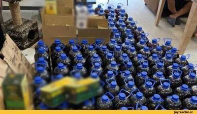 Сотрудников Института химии НАН Украины разоблачили в незаконном изготовлении фальсифицированного алкоголя