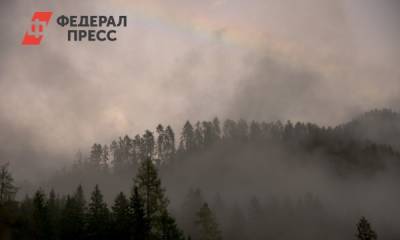 Дым от лесных пожаров охватил три района Иркутской области
