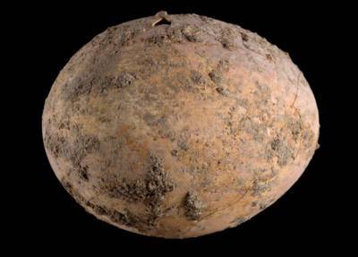 Археологи из Израиля нашли тысячелетнее куриное яйцо
