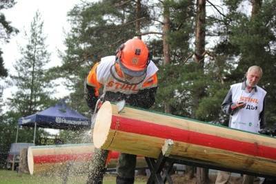 Лучшие вальщики леса соберутся на соревнованиях в Чалне