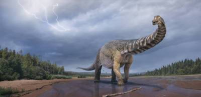В Австралии обнаружен самый крупный динозавр