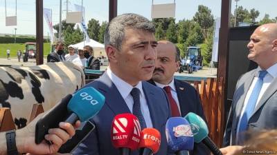 Азербайджан и Турция расширят сотрудничество в аграрной сфере - министр (ВИДЕО)