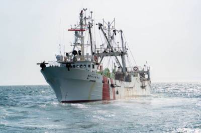 Капитана и владельца японского браконьерского судна оштрафовали на 6 миллионов рублей