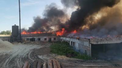 Пожар на пилораме в Дыми тушили почти 13 часов