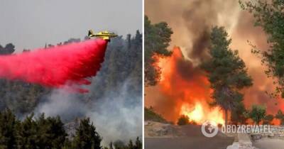 Лесной пожар в Израиле, Иерусалим: фото и видео