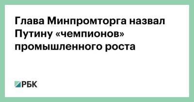 Глава Минпромторга назвал Путину «чемпионов» промышленного роста
