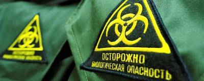 В Волгоградской области опровергли слухи о появлении «черной плесени»