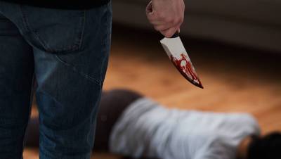 Житель Подмосковья нанес подростку более 50 ножевых ранений