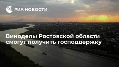 Виноделы Ростовской области смогут получить господдержку