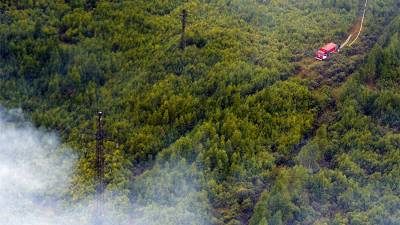 Правительство выделит свыше 2,5 млрд рублей на борьбу с лесными пожарами