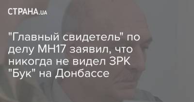 "Главный свидетель" по делу MH17 заявил, что никогда не видел ЗРК "Бук" на Донбассе