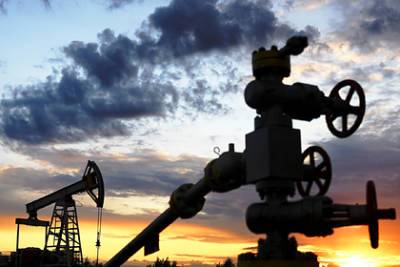 Польша прокомментировала остановку поставок российской нефти